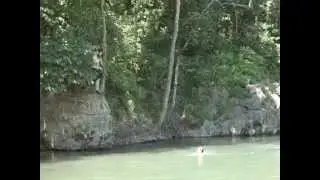 Cliff Diving -well, leaping - into the Huzzah River