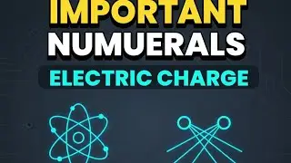 Important Numericals of Electric Charge | Class 12 | JEE & NEET | 