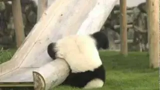 ��ʱ������