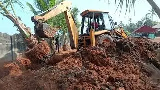 Coconut Tree Transplantation in Kerala | Tree Relocation Expert | Best Plant Nursery in Kerala India