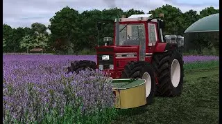 LS25 Diepholz #24 Wir brauchen ordentlich Futter