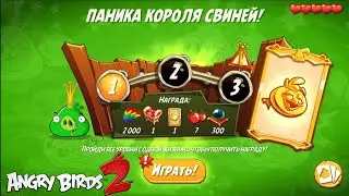 King Pig Panic/Паника короля свиней! 15/12/2022 Angry Birds 2.