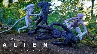 NECA Alien Covenant Neomorph Figure Review 