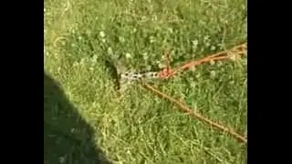 BARC VHF FD 2011.wmv
