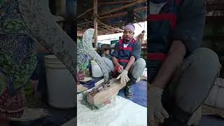 Unbelievable Giant Fish Cutting #Live | Real Market Experience | Dulal Fish Cutting #fish #fishing🦈🐋