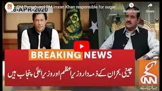 CM Punjab and PM Imran Khan responsible for sugar and wheat crisis, Shahbaz Sharif