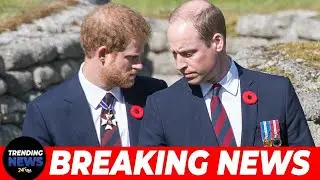 Prince Harry and Prince William Reunion Could Still Happen Claims a Royal Expert