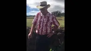 Ahu Akivi Easter Island
