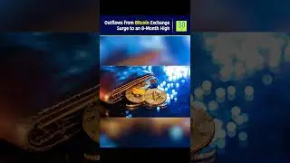 Outflows from Bitcoin Exchange Surge to an 8 Month High | 3.0 TV #bitcoin #exchanges #intotheblock