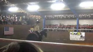 Kerstshow Gipsy Horses