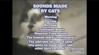 Professor Centaur: Cats VHS