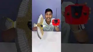 Eta Amar New Remote Control Bird