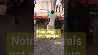 #engrais #organique #agriculture #senegal  #resilience