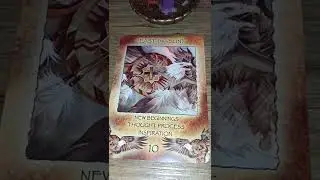 Spirit of the Wheel Meditation oracle reading. One card