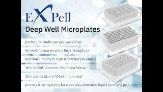CAPP 96 Deep Well Plates: Your Solution for Contaminant-Free, Versatile, and Reliable Lab Work