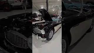 Вы бы прокатились на таком? #автомобиль #классическийавтомобиль #Austinhealey #автошоу #автошорты