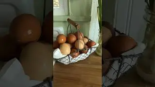 Collect eggs with me