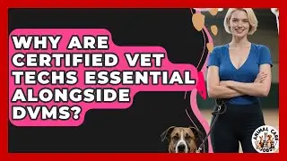Why Are Certified Vet Techs Essential Alongside DVMs? - Animal Care Jobs