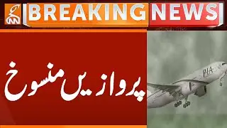 Flights Cancelled Due to Dense Fog | Breaking News | GNN