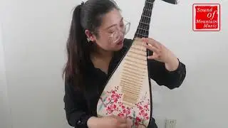Exquisite Chinese Travel Size Hardwood Pipa Instrument Chinese Lute With Accessories