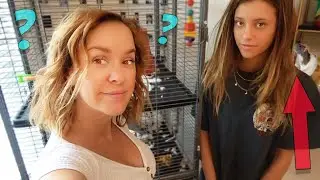 UPDATED ROOM TOUR! I BOUGHT MY PET RAT A MANSION!!