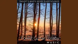Forest Guitar Lullaby