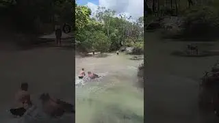 Cape York Nolan&rsquo;s Brook fail Crf 300 rally