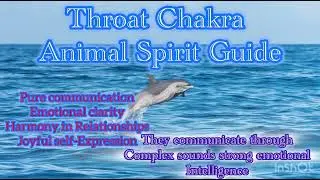 Animal Spirit Guide of the Month 