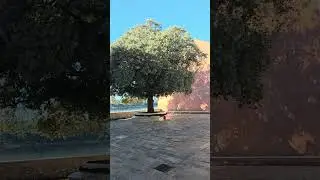 Love Story - Indila (Sped Up + Concert Reverb) | Ancient Croatia