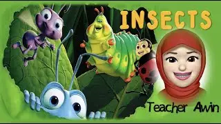 PRESCHOOL - INSECTS THEME