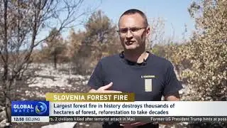 The largest forest fire in Slovenia's history destroyed thousands of hectares of forest