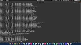Race Condition - Android app exploitation | Using Java code | CTF | Lahore | CyberHackathon.pk