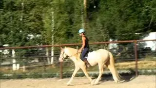 RE Coronado di Catalano - Spanish Mustang/Spanish Barb Stallion - July 2014