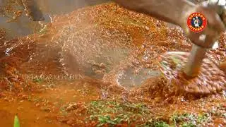 World Famous gokul chat || Ustaad's Kitchen || Indian Street Food ||