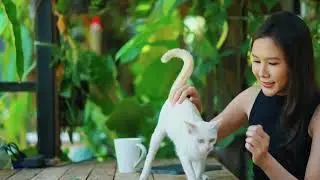 Why Do Cats Ignore You? (And How to Get Their Attention)
