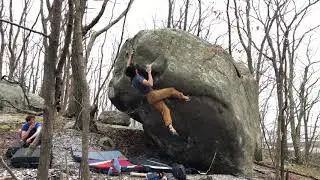 Bunny Boulder - Always at Fight Weight V9