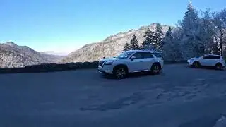 A WILD ride Through The NewFound Gap