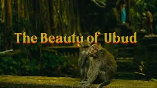 The Beauty of Ubud, Bali | 4k Cinematic | Sony A7IV | Sony 35mm F1.8