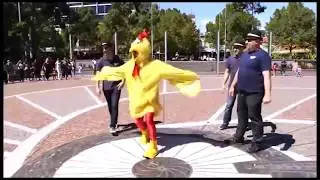 chicken Song Dance