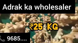 ₹25 adrakka wholesale market, Ginger wholesale business#nger