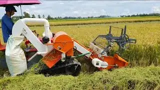 small harvester รถเกี่ยวคันเล็กดูเพลินๆคับ