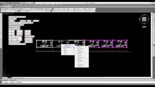 iScaf®   Editing the properties of a  Scaffold bay and bay Labeling
