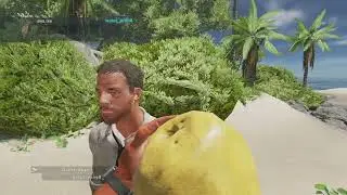 Playing stranded deep (pt 1)