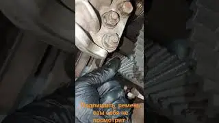 Посмотри как проверить состояние ремня грм! Мотор тебе скажет спасибо 🙏! #automobile #ремонт