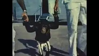 Ham the Astrochimp