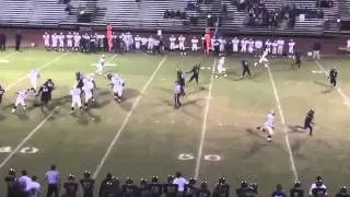 Hawks Fly High