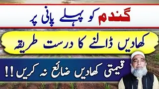 Best application method of fertilizers at first irrigation of wheat || Crop Reformer