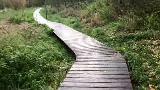 gesnik walk zielona gora 27.10.2025