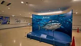 Japan's Toyosu Market [4K] World's Biggest Fish Auction in Tokyo