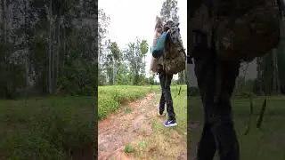 Dallas Sun Solo Camping and Cooking Food in forest #08 #shorts #shortsfeed  #reels  #shortvideo